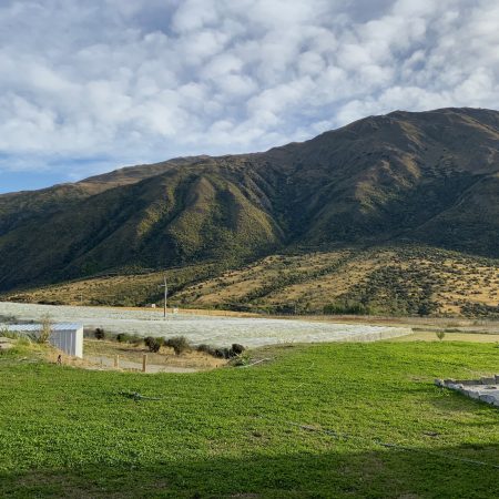 Wake up in the Vines Gibbston Valley