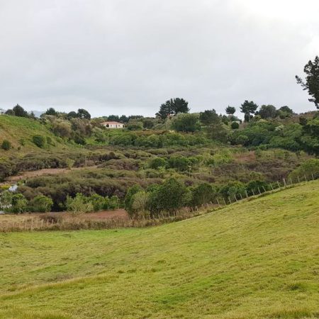 Kapiti Paradise