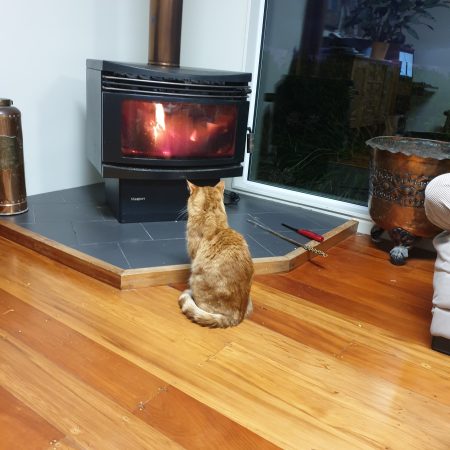 Wellington Escape