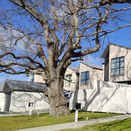 Warkworth-Matakana Coast Townhouse