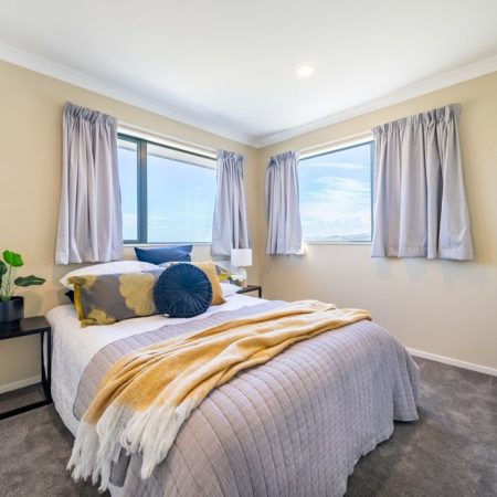 Sun soaked in Wellington