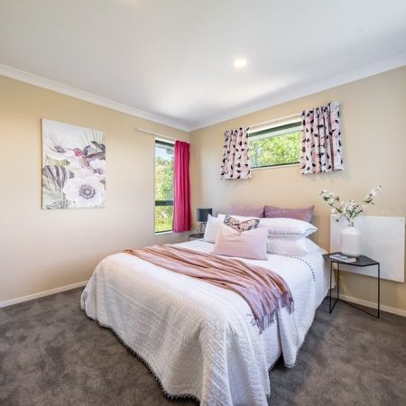 Sun soaked in Wellington