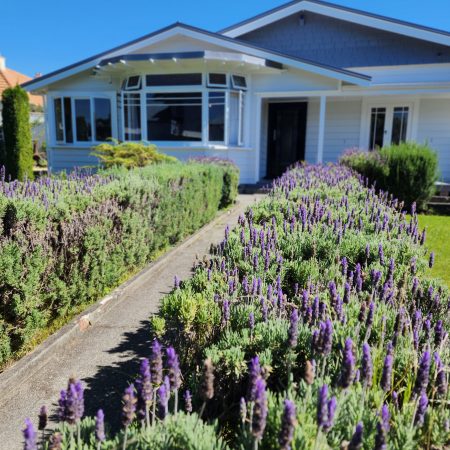 Character Villa 2mins walk to Napier CBD