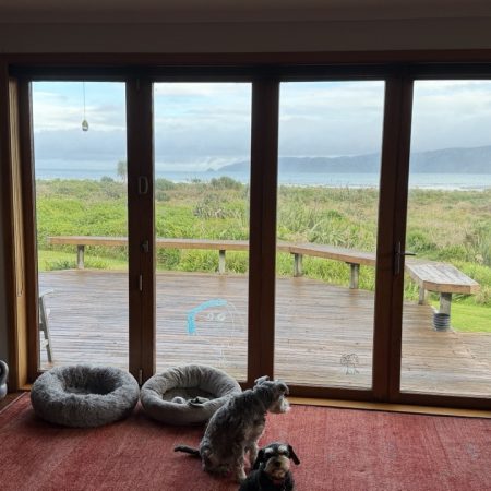 Kapiti beach front house