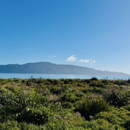 Kapiti beach front house